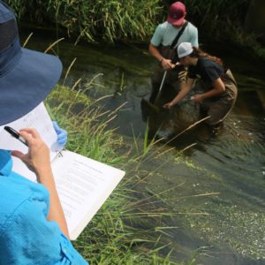 Gustavus students performing research in a local pond.